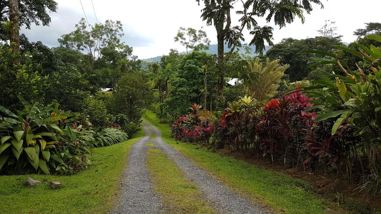 Hotel Brisas Arenal La Fortuna المظهر الخارجي الصورة