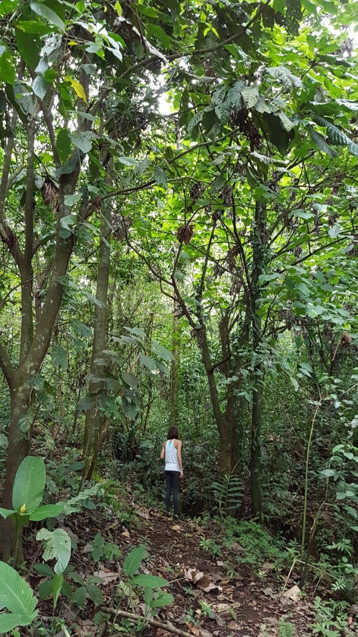 Hotel Brisas Arenal La Fortuna المظهر الخارجي الصورة