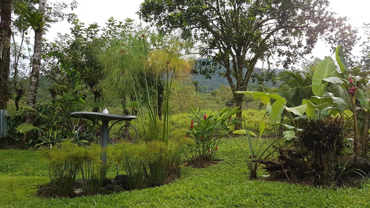 Hotel Brisas Arenal La Fortuna المظهر الخارجي الصورة