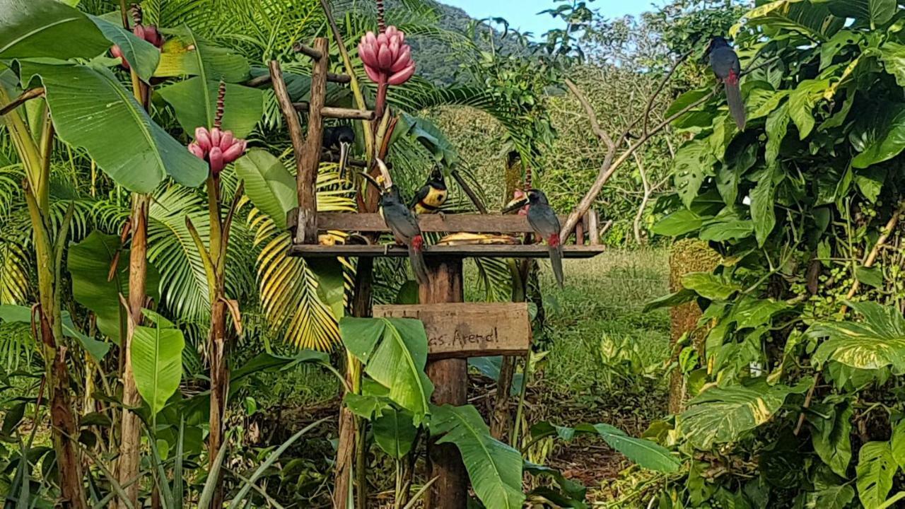Hotel Brisas Arenal La Fortuna المظهر الخارجي الصورة